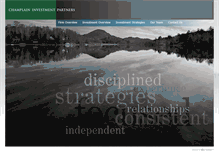 Tablet Screenshot of cipvt.com